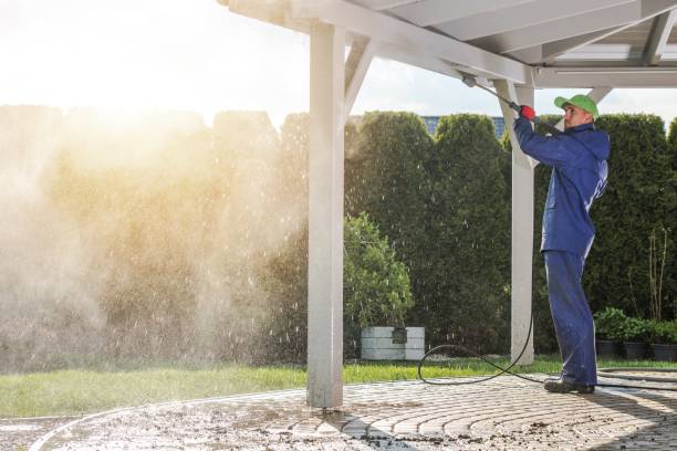 Best Pre-Holiday Cleaning  in Redland, TX